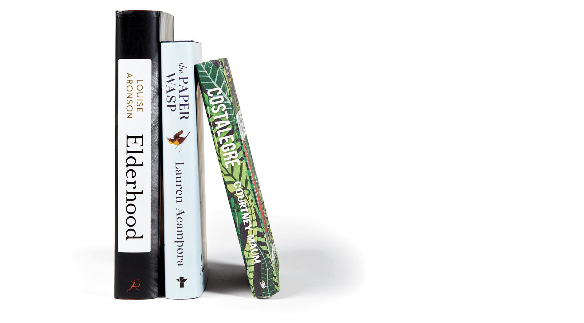 Costalegre by Courtney Maum ’01; Elderhood: Redefining Aging, Transforming Medicine, Reimagining Life by Louise Aronson ’86; and The Paper Wasp by Lauren Acampora ’97